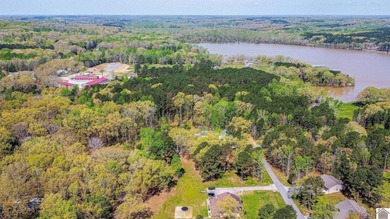 Whether you're dreaming of building your forever lakefront home - photo 3