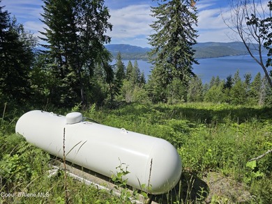 Mountain-Top Lake View Home on 13 Acres Bordering National - photo 33
