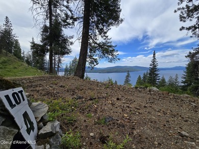 Mountain-Top Lake View Home on 13 Acres Bordering National - photo 35