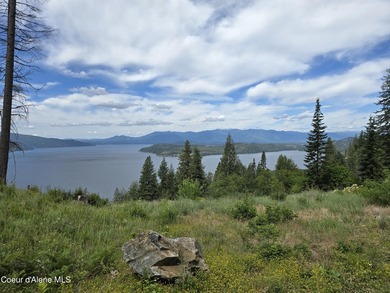 Mountain-Top Lake View Home on 13 Acres Bordering National - photo 38