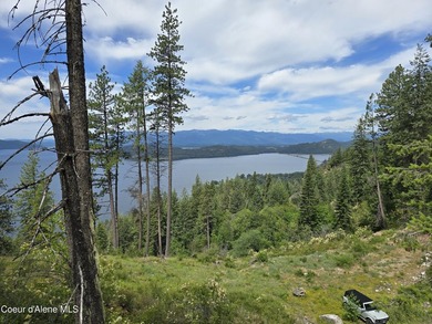 Mountain-Top Lake View Home on 13 Acres Bordering National - photo 39