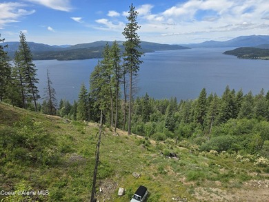 Mountain-Top Lake View Home on 13 Acres Bordering National - photo 40