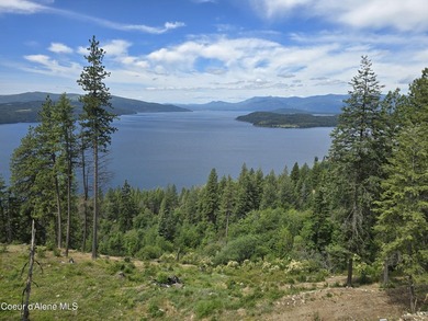 Mountain-Top Lake View Home on 13 Acres Bordering National - photo 41