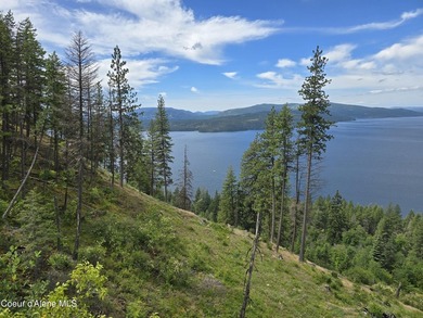 Mountain-Top Lake View Home on 13 Acres Bordering National - photo 42