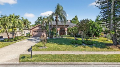 Lake Home For Sale in Safety Harbor, Florida