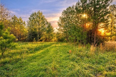 (private lake, pond, coastal) Acreage For Sale in Abbeville South Carolina