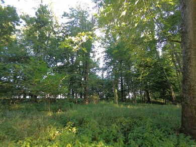 500+ FT. OF TIPPECANOE RIVER FRONTAGE!! Discover the rare chance - photo 6