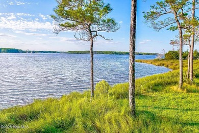 (private lake, pond, coastal) Lot For Sale in Oriental North Carolina