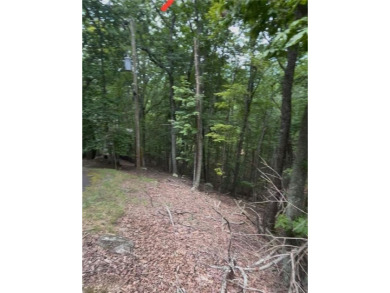 Lake Lot For Sale in Waleska, Georgia