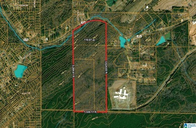 CONTINGENT CONTRACT FEB. 24, 2026. EXTREMELY RARE OPPORTUNITY - - photo 2