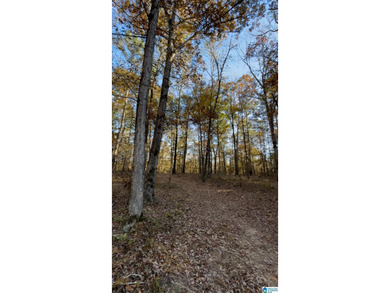 CONTINGENT CONTRACT FEB. 24, 2026. EXTREMELY RARE OPPORTUNITY - - photo 3
