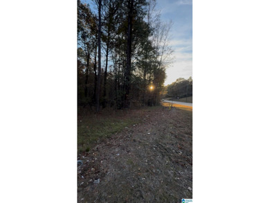 CONTINGENT CONTRACT FEB. 24, 2026. EXTREMELY RARE OPPORTUNITY - - photo 4