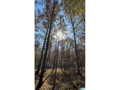 CONTINGENT CONTRACT FEB. 24, 2026. EXTREMELY RARE OPPORTUNITY - - photo 6