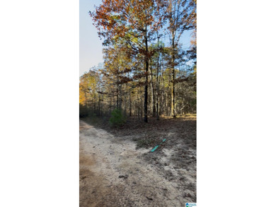 CONTINGENT CONTRACT FEB. 24, 2026. EXTREMELY RARE OPPORTUNITY - - photo 7