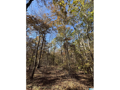 CONTINGENT CONTRACT FEB. 24, 2026. EXTREMELY RARE OPPORTUNITY - - photo 10