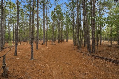 Lake Acreage For Sale in Kershaw, South Carolina