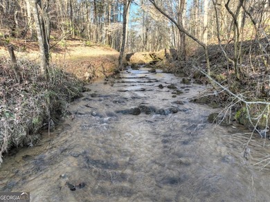 (private lake, pond, creek) Acreage For Sale in Ellijay Georgia