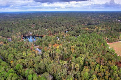 (private lake, pond, coastal) Acreage For Sale in Aiken South Carolina