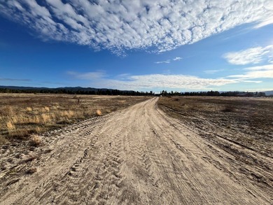 HIGHWAY 55 FRONTAGE! 31 acres prime development potential - photo 11