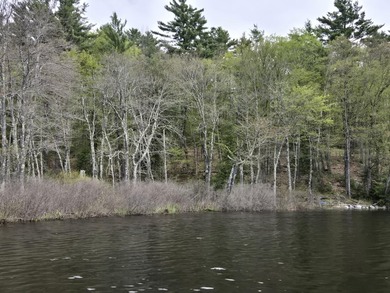 Boat or snowmobile access only. This southerly facing 1.8 acre - photo 11