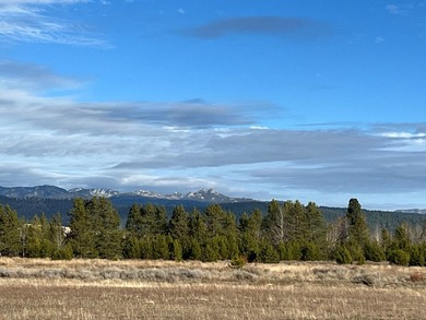 HIGHWAY 55 FRONTAGE! 31 acres prime development potential - photo 12
