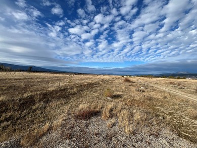 HIGHWAY 55 FRONTAGE! 31 acres prime development potential - photo 13