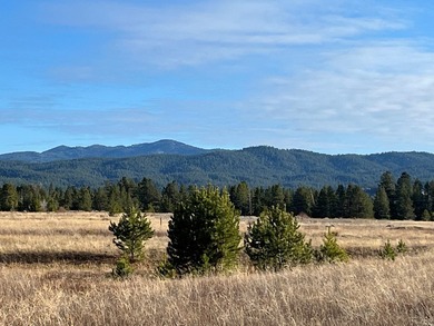 HIGHWAY 55 FRONTAGE! 31 acres prime development potential - photo 14