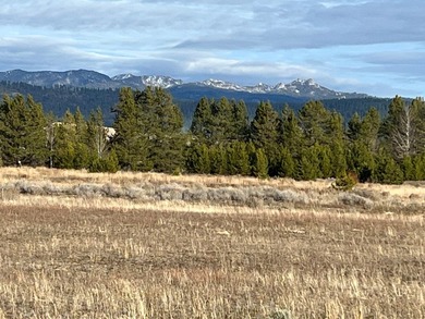 HIGHWAY 55 FRONTAGE! 31 acres prime development potential - photo 15