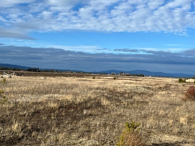 HIGHWAY 55 FRONTAGE! 31 acres prime development potential - photo 16