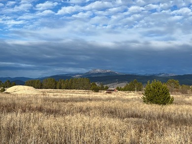 HIGHWAY 55 FRONTAGE! 31 acres prime development potential - photo 17