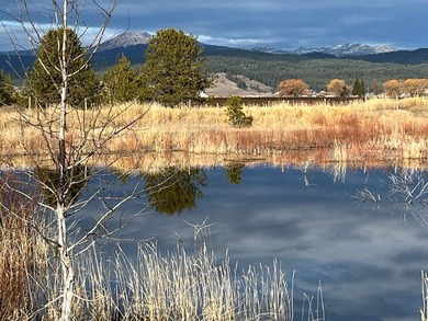 HIGHWAY 55 FRONTAGE! 31 acres prime development potential - photo 18