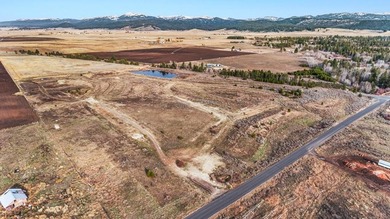HIGHWAY 55 FRONTAGE! 31 acres prime development potential - photo 19
