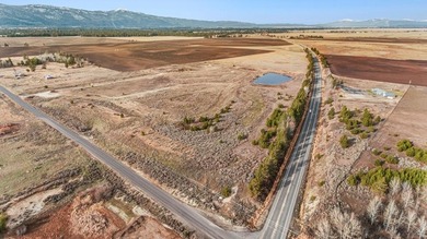 HIGHWAY 55 FRONTAGE! 31 acres prime development potential - photo 20