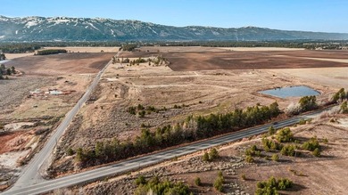 HIGHWAY 55 FRONTAGE! 31 acres prime development potential - photo 21