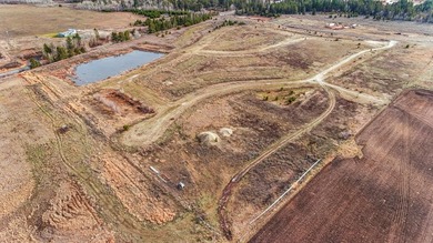 HIGHWAY 55 FRONTAGE! 31 acres prime development potential - photo 22