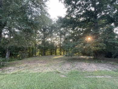 Lake Front Lot Plus Extra Lot With Dock - Lake Lot For Sale in Leitchfield, Kentucky