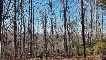 Lake Keowee Acreage For Sale in Salem South Carolina