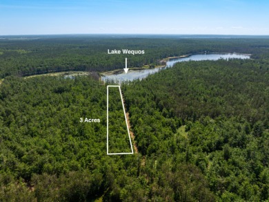 Lake Acreage For Sale in Gaylord, Michigan