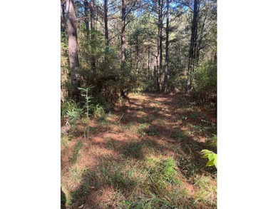 (private lake, pond, coastal) Acreage For Sale in Taylorsville Mississippi