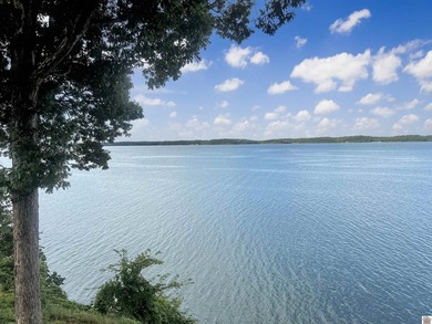 Experience waterfront living at its finest in this exceptional 3 - photo 8