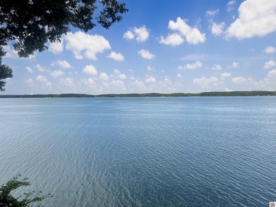 Experience waterfront living at its finest in this exceptional 3 - photo 9