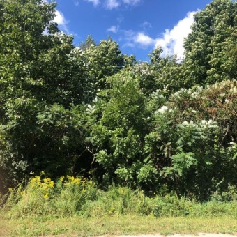 PORTAGE RIVER FRONTAGE VACANT LAND - Lake Lot For Sale in Three Rivers, Michigan