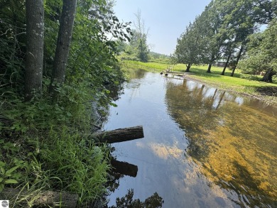 (private lake, pond, creek) Lot For Sale in Merritt Michigan