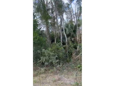 Lehigh Acres Area Lot For Sale in Lehigh Acres Florida