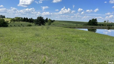 Centrally located between Peoria & Bloomington. The Lake of - photo 2