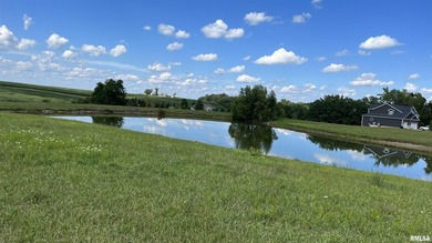 Centrally located between Peoria & Bloomington. The Lake of - photo 3
