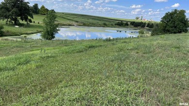 Centrally located between Peoria & Bloomington. The Lake of - photo 4