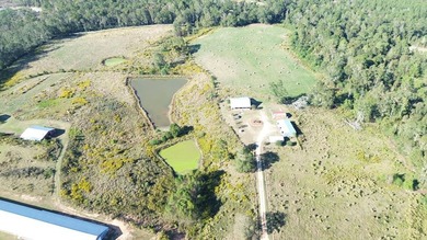A 4- HOUSE BROILER FARM! THIS BEAUTIFUL FARM FEATURES 2 HOUSES - photo 6