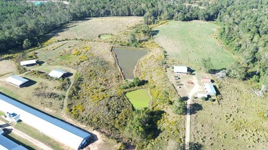 A 4- HOUSE BROILER FARM! THIS BEAUTIFUL FARM FEATURES 2 HOUSES - photo 7