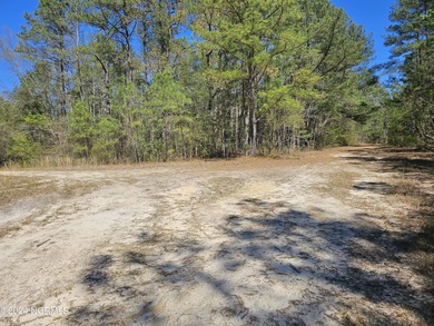 Lake Surf Lot For Sale in Vass North Carolina